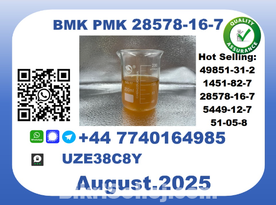 CAS 28578-16-7 BMK PMK Certified Factory Supply